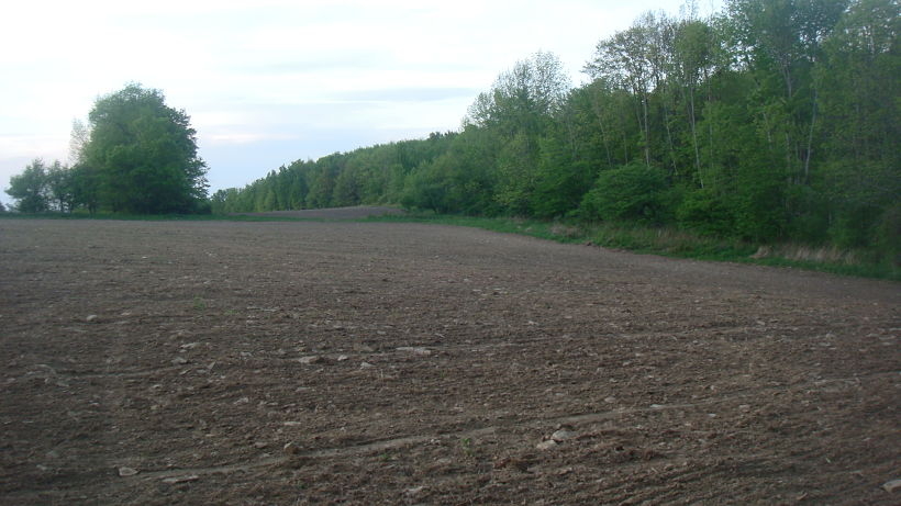 Freshy plowed fied with exposed fied rocks.