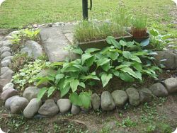 HOSTA FLOWER ARRANGEMENT ON LAWN