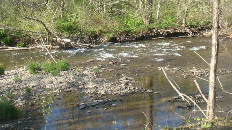 STREAM WITH ROCK BED EXPOSED BY LOW WATERS.